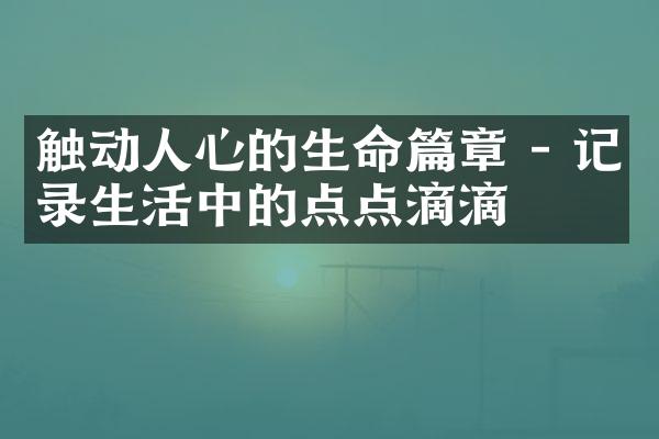 触动人心的生命篇章 - 记录生活中的点点滴滴