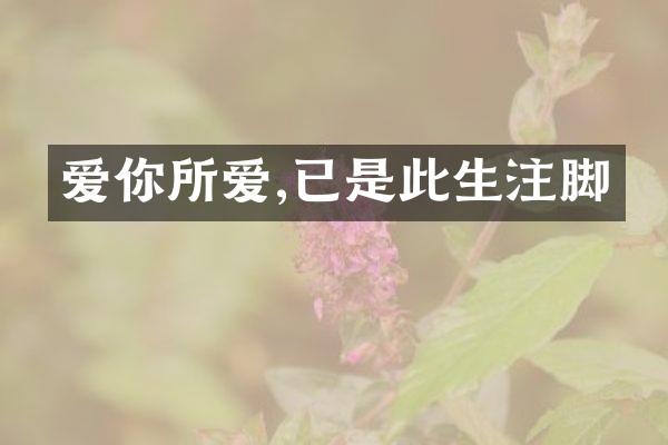 爱你所爱,已是此生注脚
