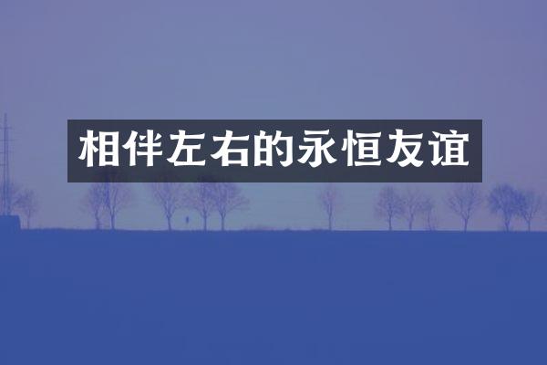 相伴左右的永恒友谊