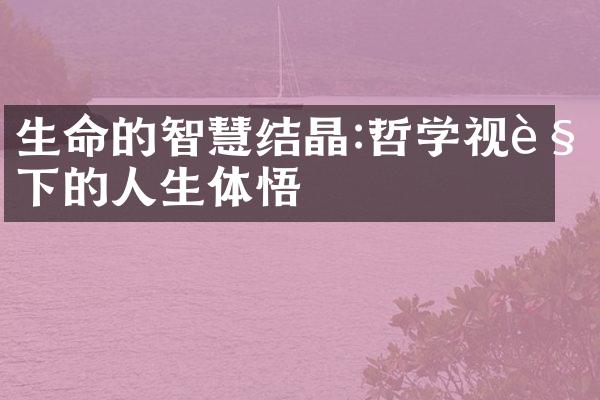 生命的智慧结晶:哲学视角下的人生体悟