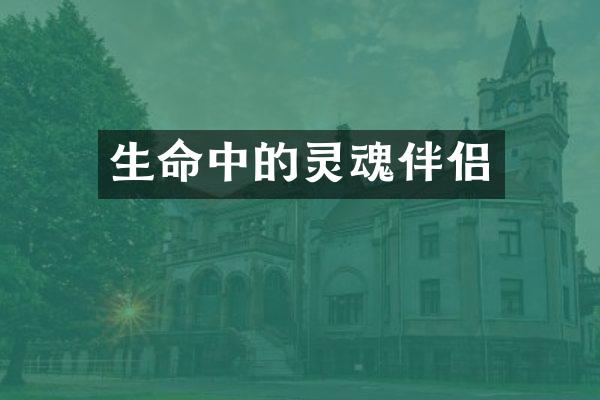 生命中的灵魂伴侣