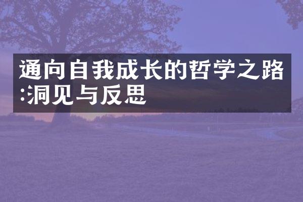 通向自我成长的哲学之路:洞见与反思
