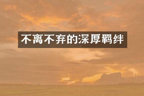 不离不弃的深厚羁绊