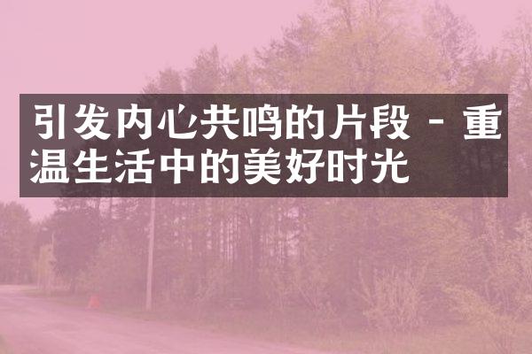 引发内心共鸣的片段 - 重温生活中的美好时光
