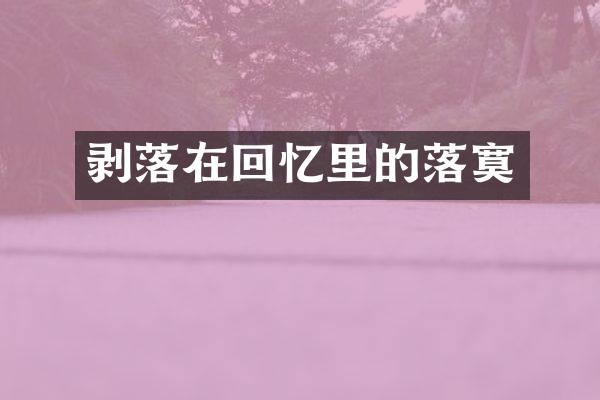 剥落在回忆里的落寞