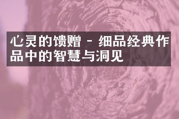 心灵的馈赠 - 细品经典作品中的智慧与洞见