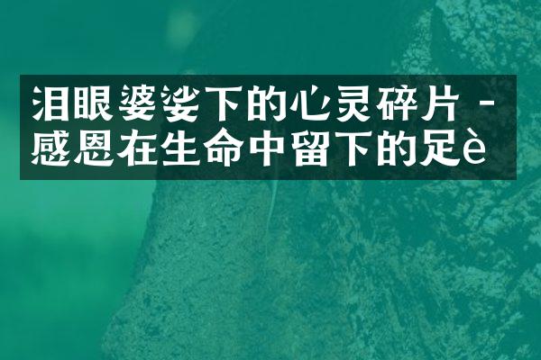 泪眼婆娑下的心灵碎片 - 感恩在生命中留下的足迹