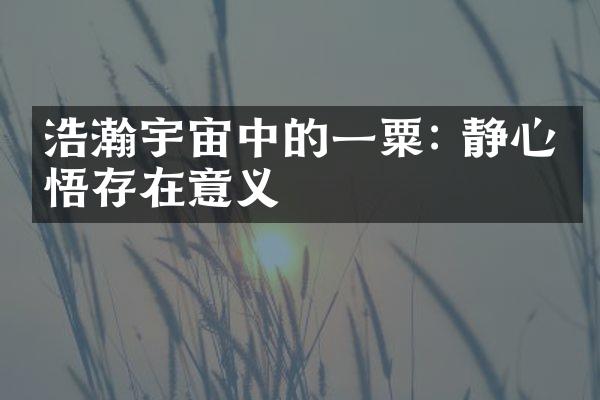 浩瀚宇宙中的一粟: 静心体悟存在意义