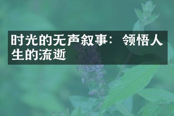 时光的无声叙事：领悟人生的流逝