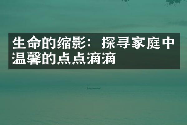 生命的缩影：探寻家庭中温馨的点点滴滴