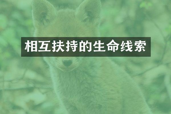 相互扶持的生命线索