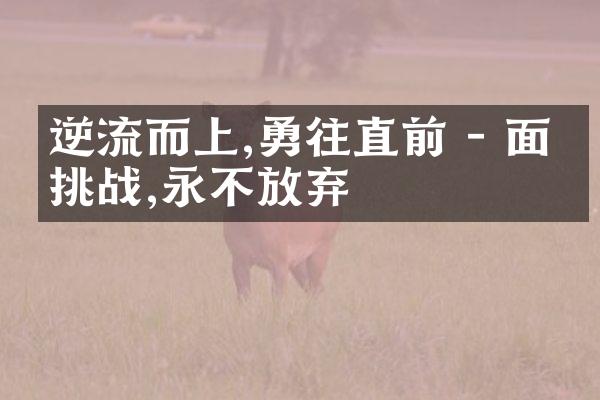 逆流而上,勇往直前 - 面对挑战,永不放弃