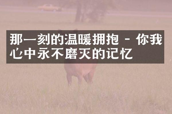那一刻的温暖拥抱 - 你我心中永不磨灭的记忆