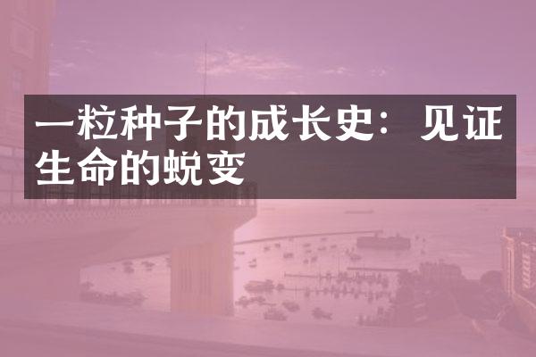 一粒种子的成长史：见证生命的蜕变