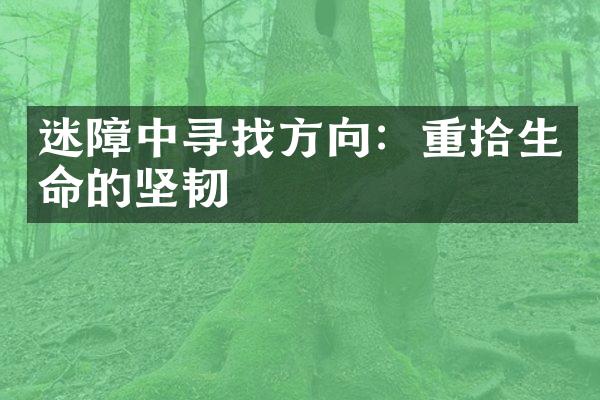 迷障中寻找方向：重拾生命的坚韧