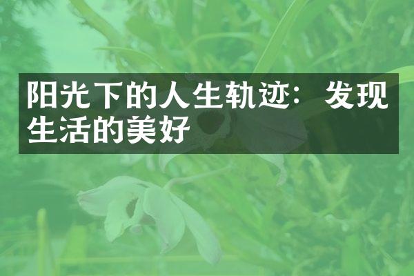 阳光下的人生轨迹：发现生活的美好