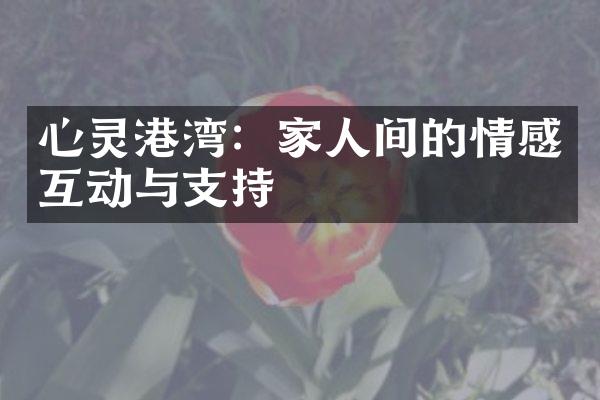 心灵港湾：家人间的情感互动与支持