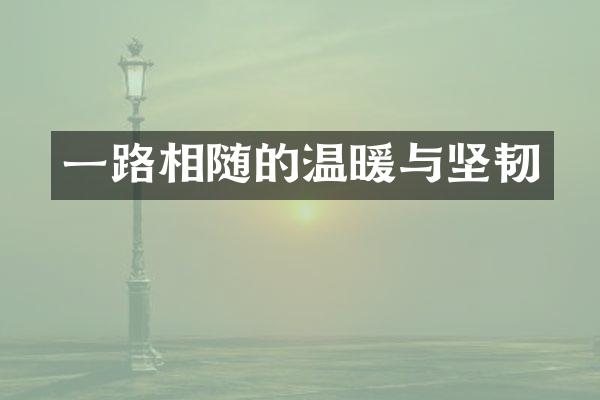 相随的温暖与坚韧