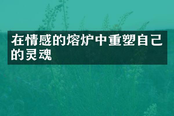 在情感的熔炉中重塑自己的灵魂