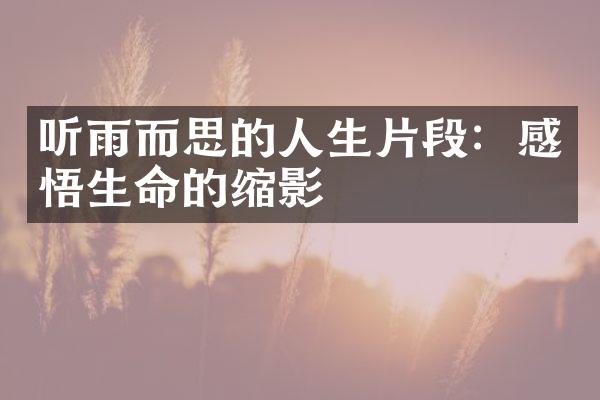 听雨而思的人生片段：感悟生命的缩影