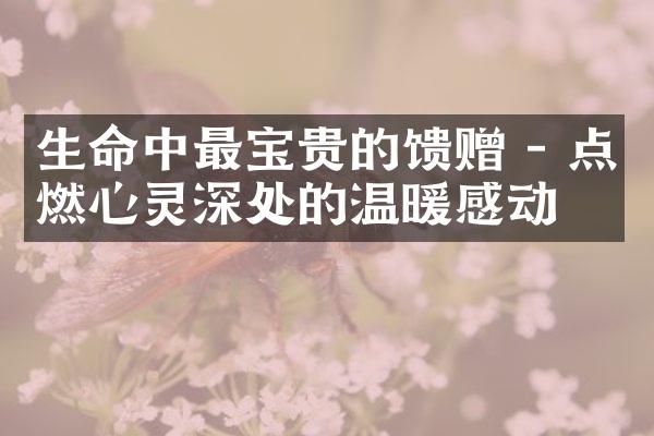 生命中最宝贵的馈赠 - 点燃心灵深处的温暖感动