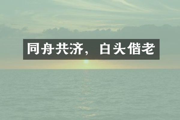 同舟共济，白头偕老