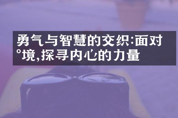 勇气与智慧的交织:面对困境,探寻内心的力量