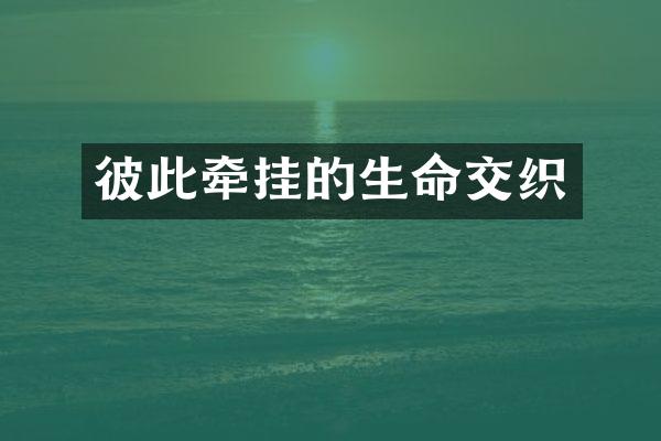 彼此牵挂的生命交织