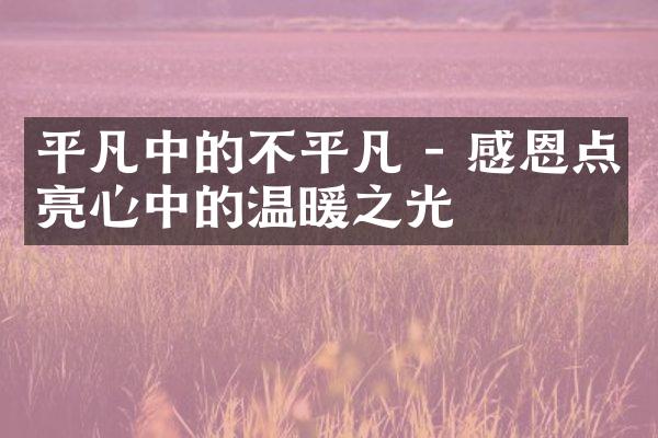 平凡中的不平凡 - 感恩点亮心中的温暖之光