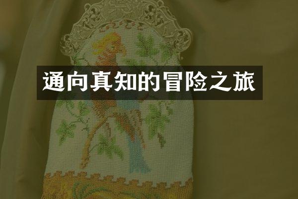 通向真知的冒险之旅