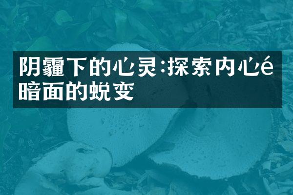 阴霾下的心灵:探索内心阴暗面的蜕变