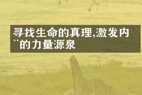 寻找生命的真理,激发内在的力量源泉