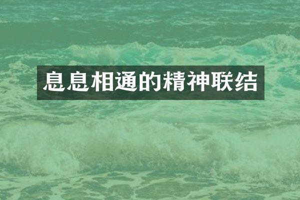 息息相通的精神联结