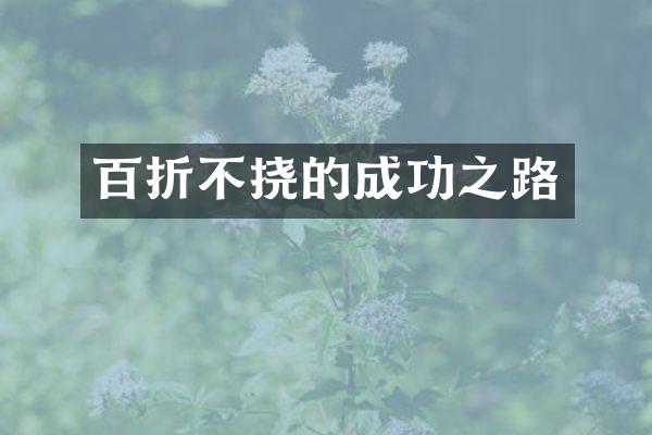 百折不挠的成功之路