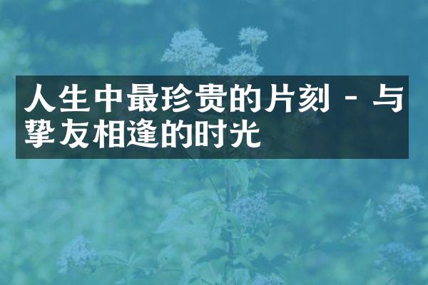 人生中最珍贵的片刻 - 与挚友相逢的时光