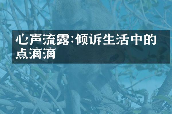 心声流露:倾诉生活中的点点滴滴