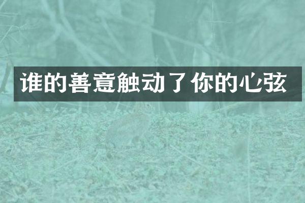 谁的善意触动了你的心弦