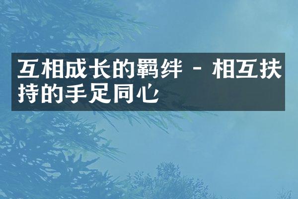 互相成长的羁绊 - 相互扶持的手足同心