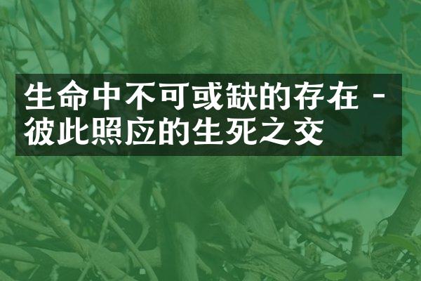生命中不可或缺的存在 - 彼此照应的生死之交