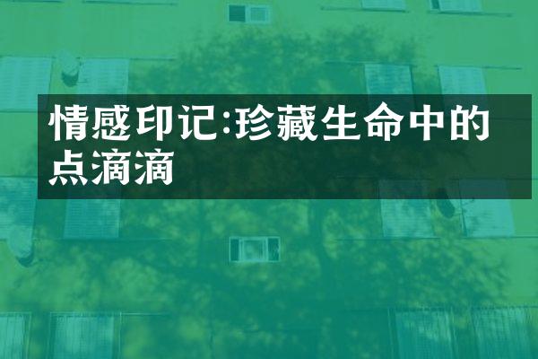 情感印记:珍藏生命中的点点滴滴