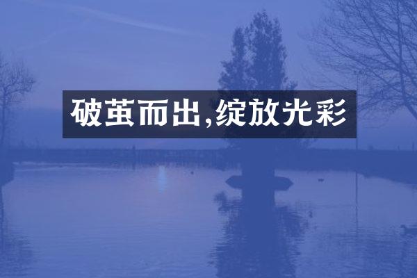 破茧而出,绽放光彩