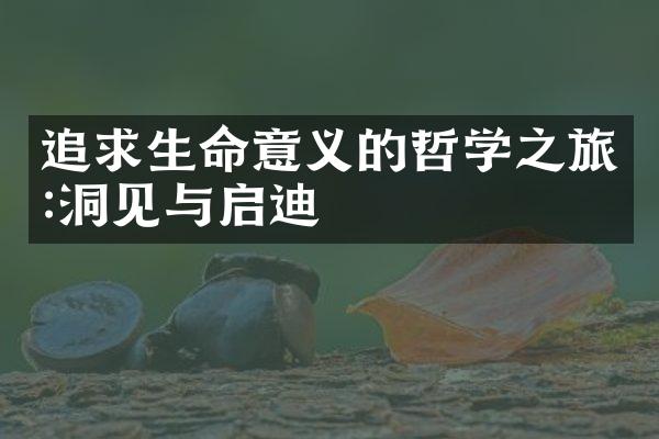 追求生命意义的哲学之旅:洞见与启迪