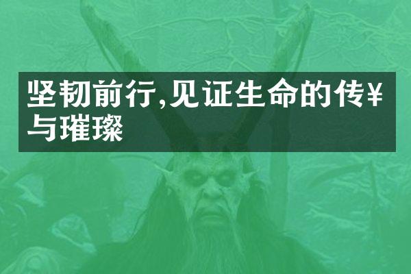 坚韧前行,见证生命的传奇与璀璨