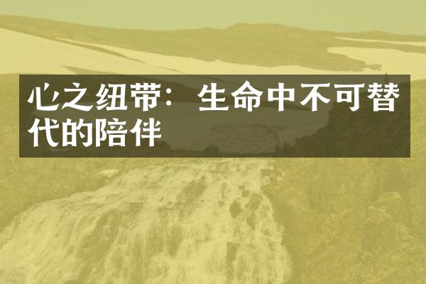 心之纽带：生命中不可替代的陪伴