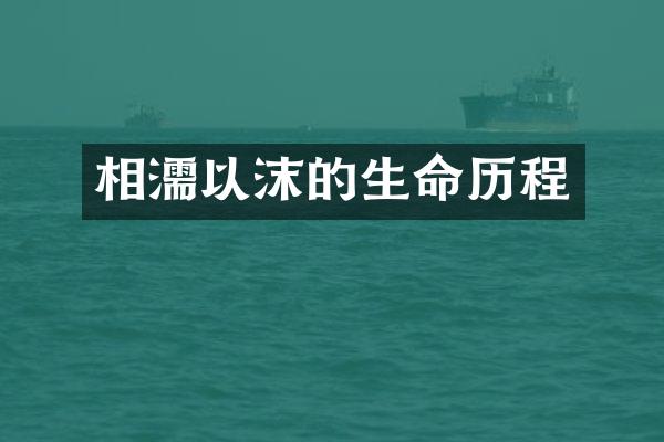 相濡以沫的生命
