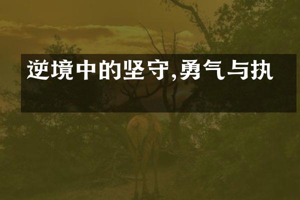 逆境中的坚守,勇气与执着