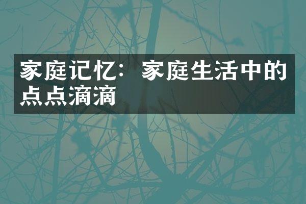 家庭记忆：家庭生活中的点点滴滴