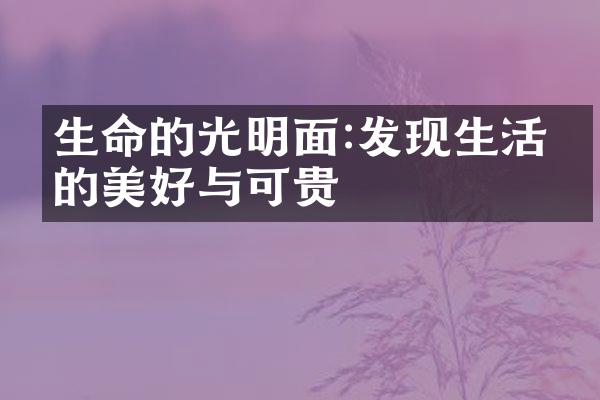 生命的光明面:发现生活中的美好与可贵