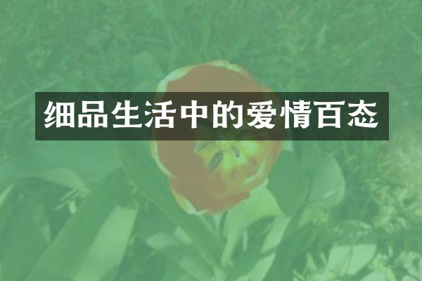 细品生活中的爱情百态