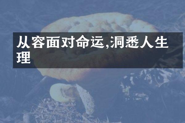 从容面对命运,洞悉人生真理